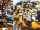 lutong bahay recipe-choco banana graham cake