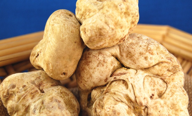 white truffle lutong bahay recipe