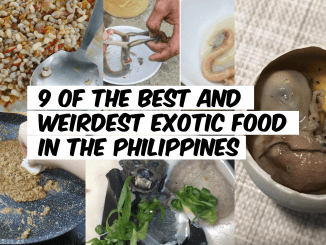 9 of the Best and Weirdest Exotic Food in the Philippines