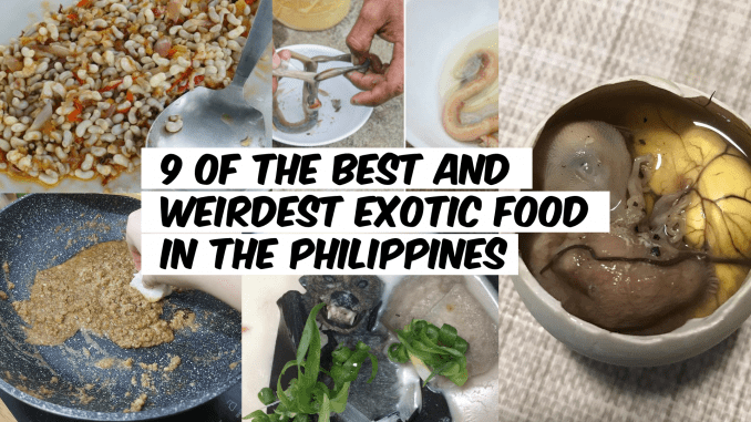 9 of the Best and Weirdest Exotic Food in the Philippines