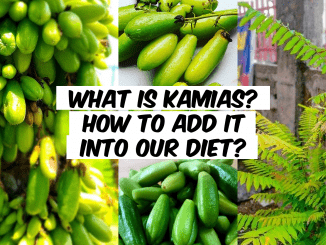 what is kamias? how to add it into our diet